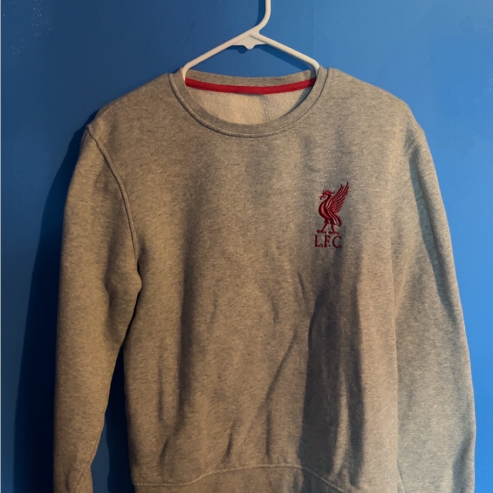 Gray Liverpool F.C Men's Sweater